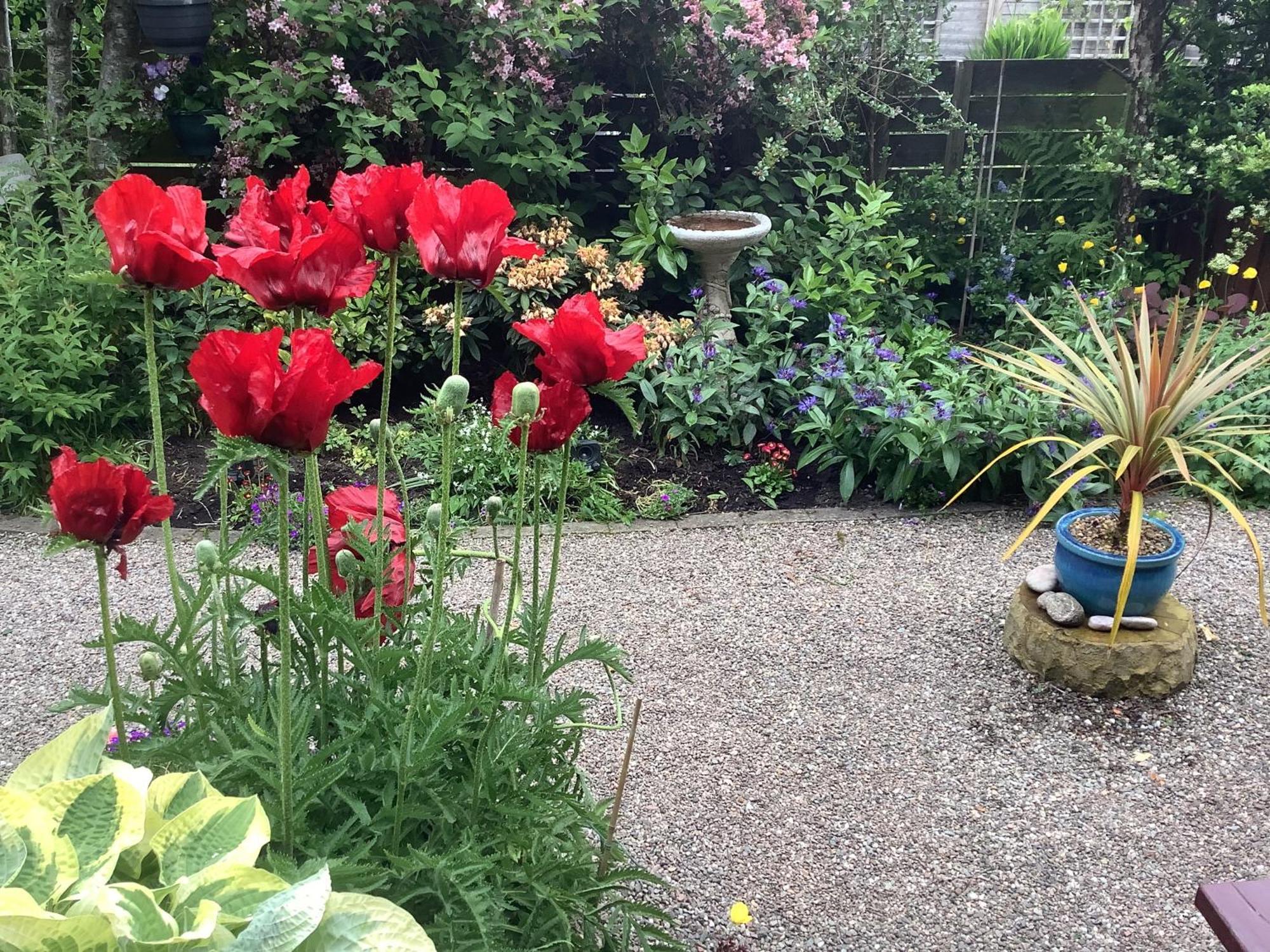 The Garden Flat Daire Crieff Dış mekan fotoğraf
